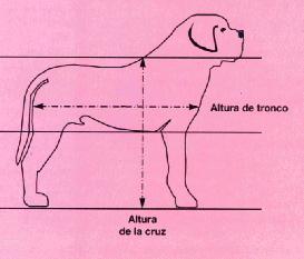 Altura a La Cruz