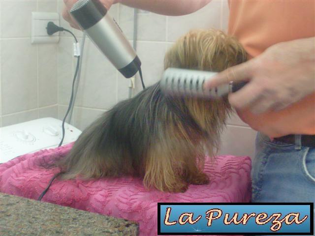 Regresa Pagina Actual