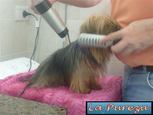 Clic para Ampliar Foto