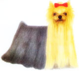 Estandar del Yorkshire Terrier