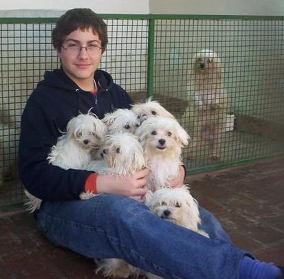 Perros Sueltos en Jardines