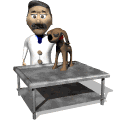 veterinario_02