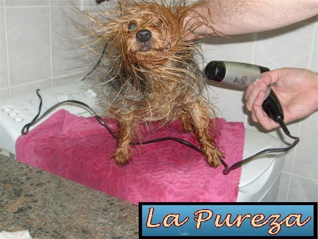 Secando el Pelo